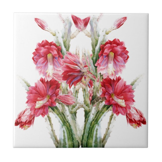 Victorian Blommar Cactus Rosa Grönt Kakelplatta (Framsidan)