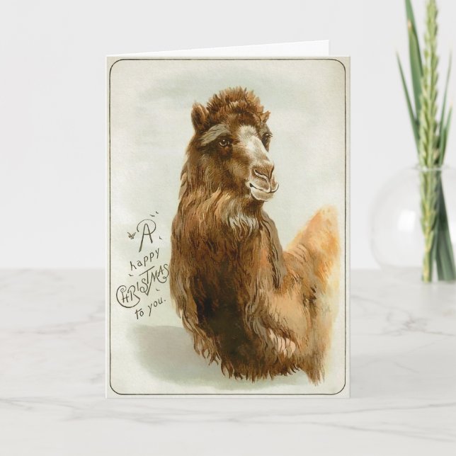 Victorian Camel-julkort Helgkort (Framsida)