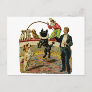 Victorian Circus Hundar, tränare Clown Vykort