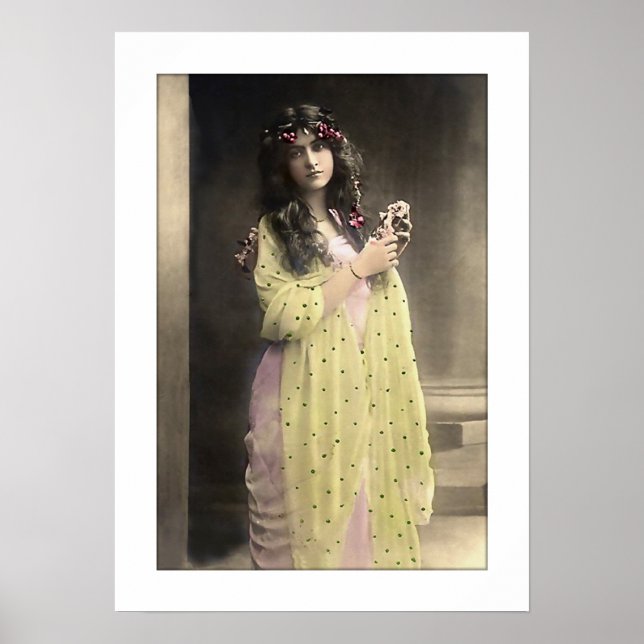 Victorian dam, långa hårsträdgårdar poster (Framsidan)