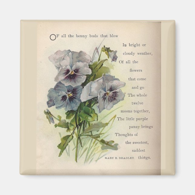 Victorian Dikt Grått Lila Pansies Magnet (Framsidan)