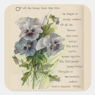 Victorian Dikt Lila Pansies Stickers Fyrkantigt Klistermärke