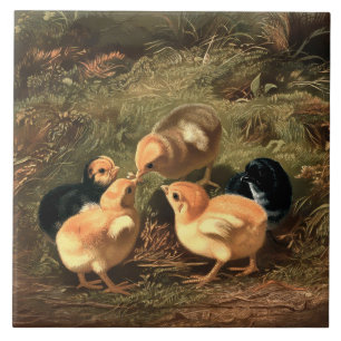 Victorian Era Baby Chickens Kakelplatta
