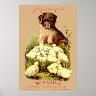 Victorian Era Puppy & Baby Chick Soap Ad Poster