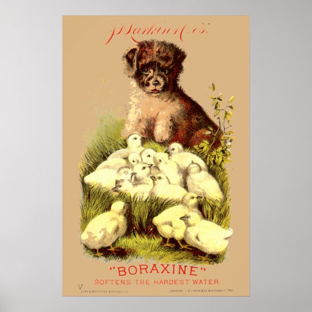 Victorian Era Puppy & Baby Chick Soap Ad Poster (Framsidan)