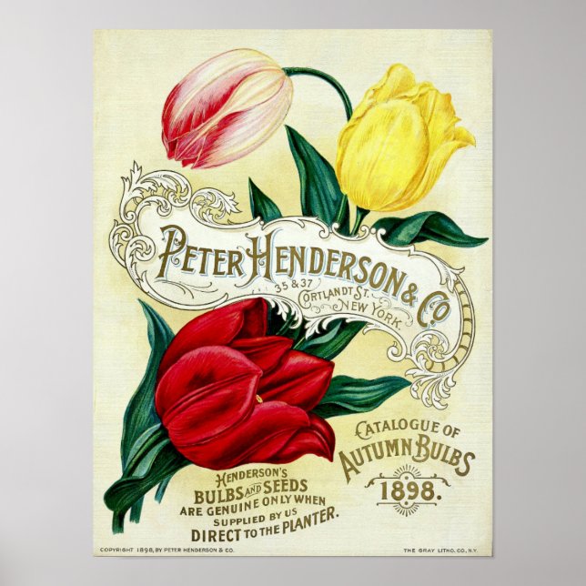 Victorian Era Seed Catalog Cover Art Poster (Framsidan)