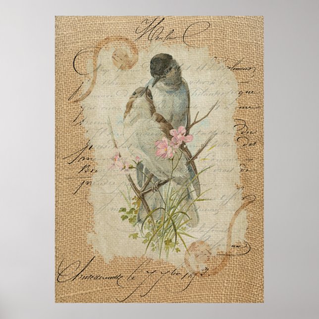 Victorian Fransk Love birds Kärlek Sång Poster (Framsidan)