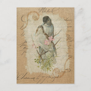 Victorian Fransk Love birds Kärlek Sång Vykort