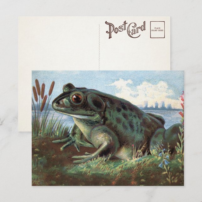 Victorian Frog Art Postcard  Vykort (Fram/baksida)