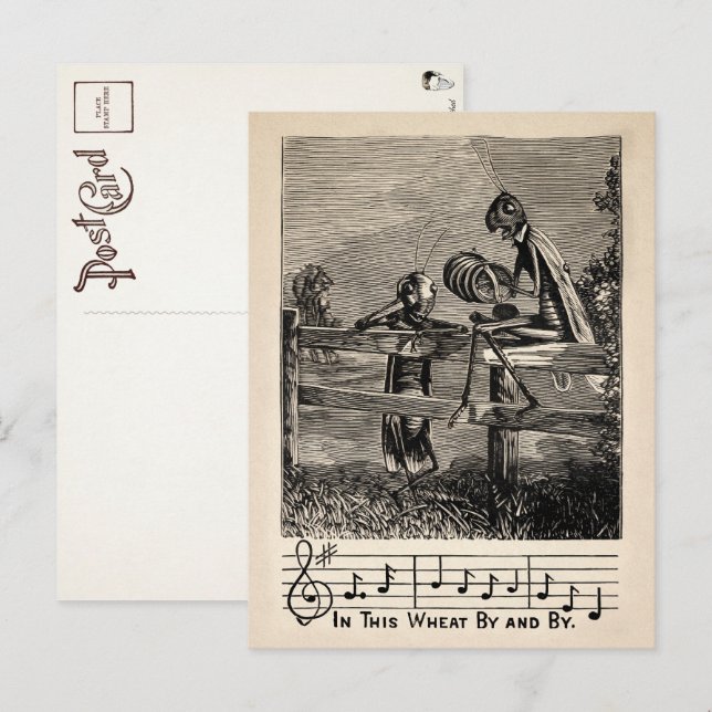 Victorian Grashopper Sång vycard Vykort (Fram/baksida)