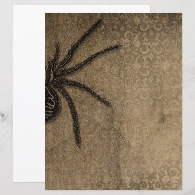 Victorian Halloween Gothic Spider Scrapbook Papper (Fram/baksida)