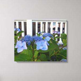 Victorian Hydrangea och Porch - Martha's Vineyard Canvastryck