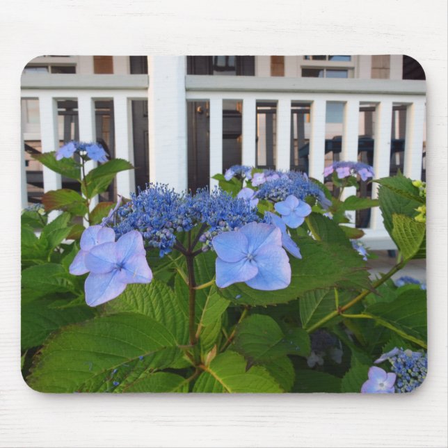 Victorian Hydrangea och Porch - Martha's Vineyard Musmatta (Framsidan)