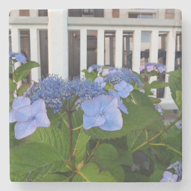Victorian Hydrangea och Porch - Martha's Vineyard Stenunderlägg (Framsidan)