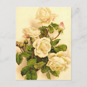 Victorian Ivory Ro Painting Vykort