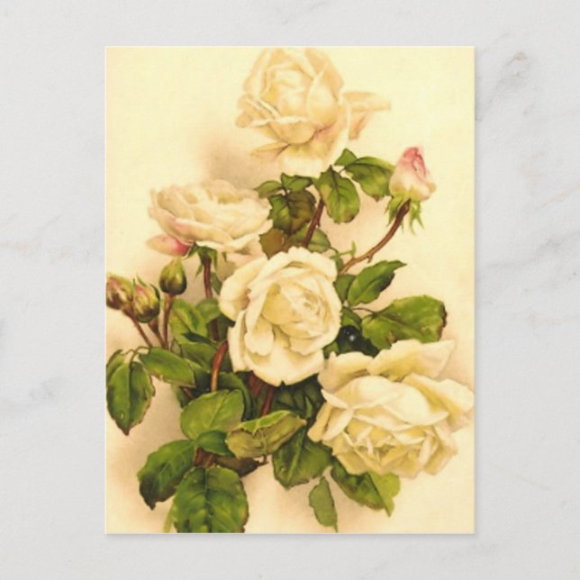 Victorian Ivory Ro Painting Vykort (Framsida)