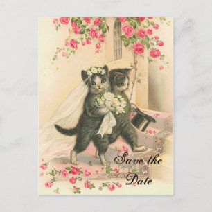 Victorian Kitten Bröllop spara datum Meddelande Vykort