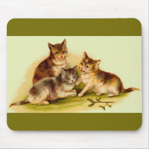 Victorian kittens musmatta