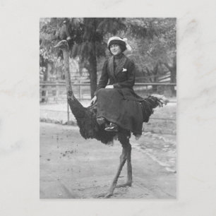 Victorian Konstig Woman Riding Ostrich Vykort