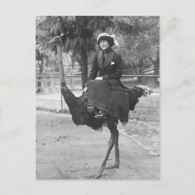 Victorian Konstig Woman Riding Ostrich Vykort (Framsida)