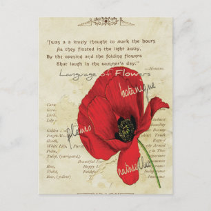 Victorian Language of Flowers Vykort