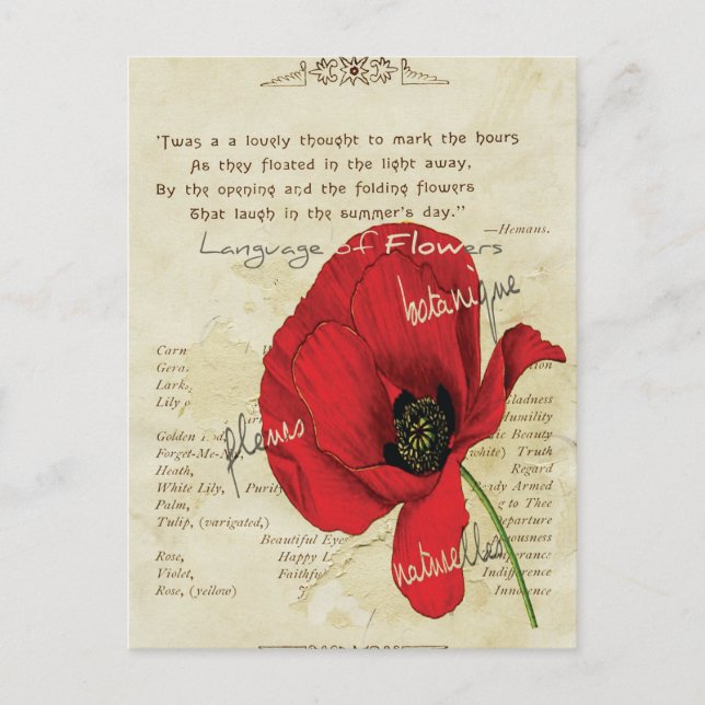 Victorian Language of Flowers Vykort (Framsida)