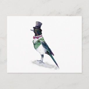 Victorian Magpie Bird Vykort