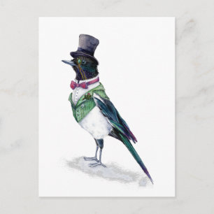 Victorian Magpie Bird Vykort