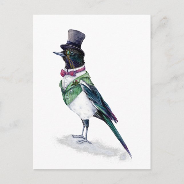 Victorian Magpie Bird Vykort (Framsida)