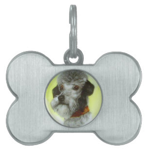 VICTORIAN MINIATURE HUND PORTRÄTT Airedale Terrier Namnbricka Husdjur