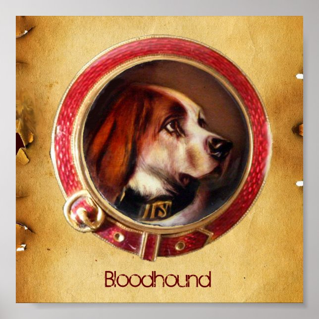 VICTORIAN MINIATURE HUND PORTRÄTT Bloodhound Poster (Framsidan)