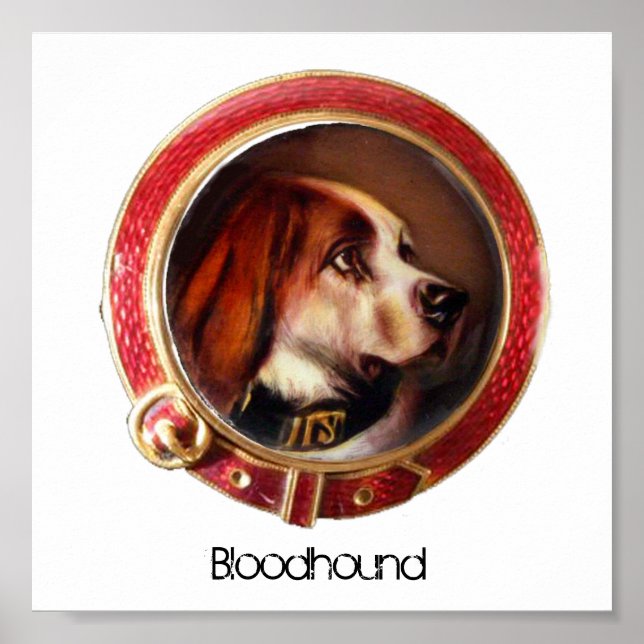 VICTORIAN MINIATURE HUND PORTRÄTT Bloodhound Poster (Framsidan)