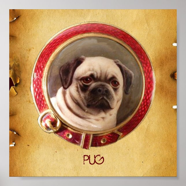VICTORIAN MINIATURE HUND PORTRÄTT Pug Poster (Framsidan)