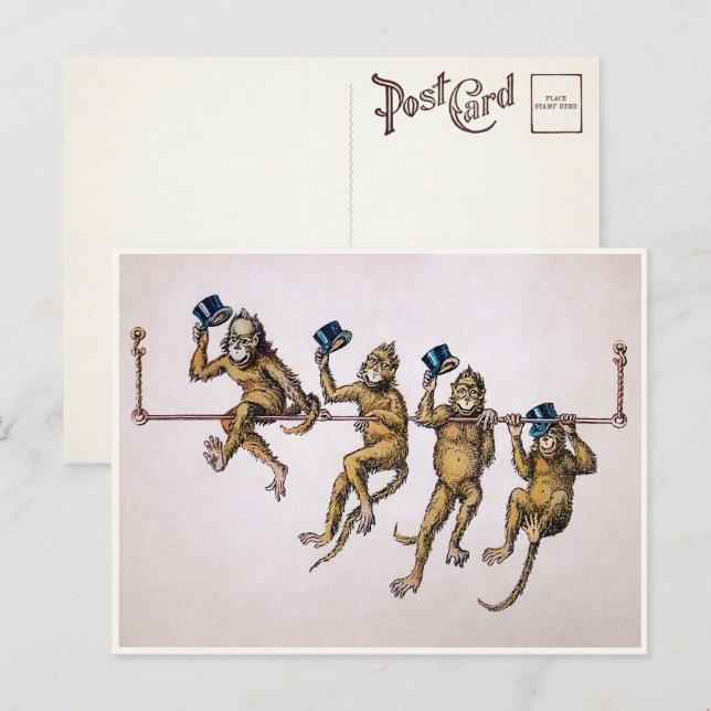 Victorian Monkey Postcard Vykort (Fram/baksida)