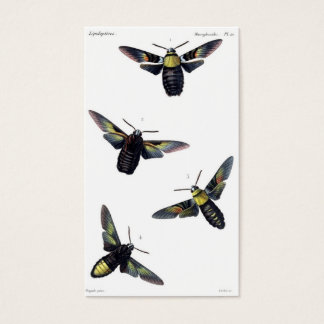 Victorian Moths Visitkort