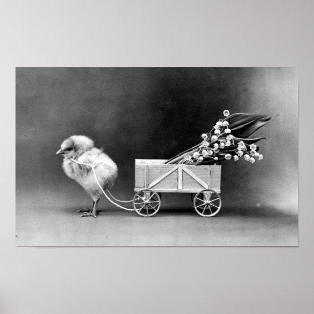 Victorian Påsk Poster (Framsidan)