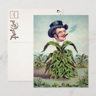 Victorian Plant Man Postkort Vykort