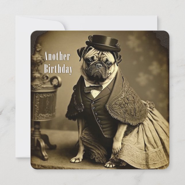 Victorian Pug Birthday Card - Lustigt bild i Pug Julkort (Framsida)