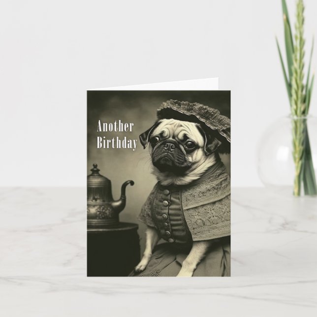Victorian Pug Birthday Card - Lustigt bild i Pug Kort (Framsida)