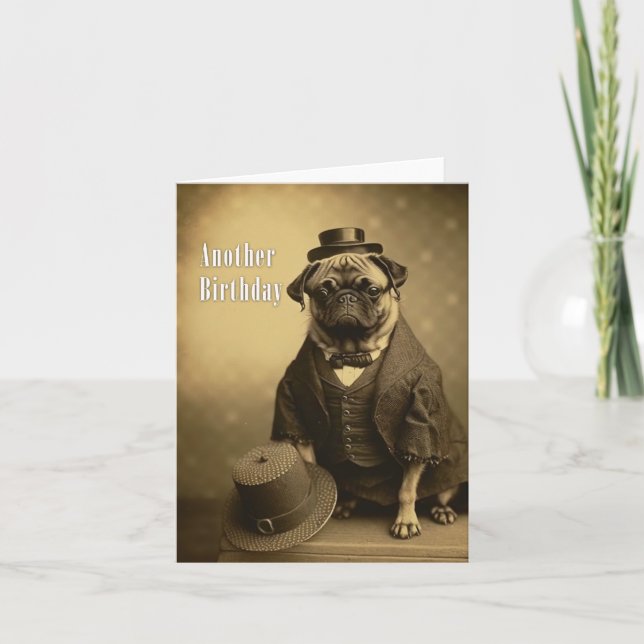 Victorian Pug Birthday Card - Lustigt bild i Pug Kort (Framsida)