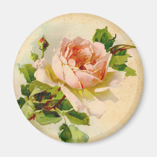 Victorian Rosa ros Magnet