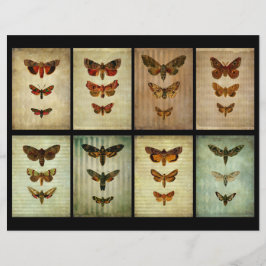 Victorian Stil Moth ATC-skrapbokort