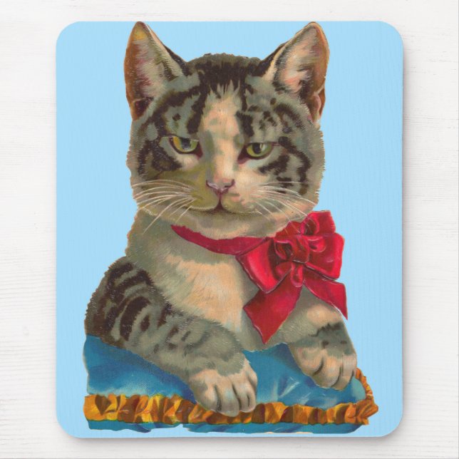 Victorian tabby katt musmatta (Framsidan)