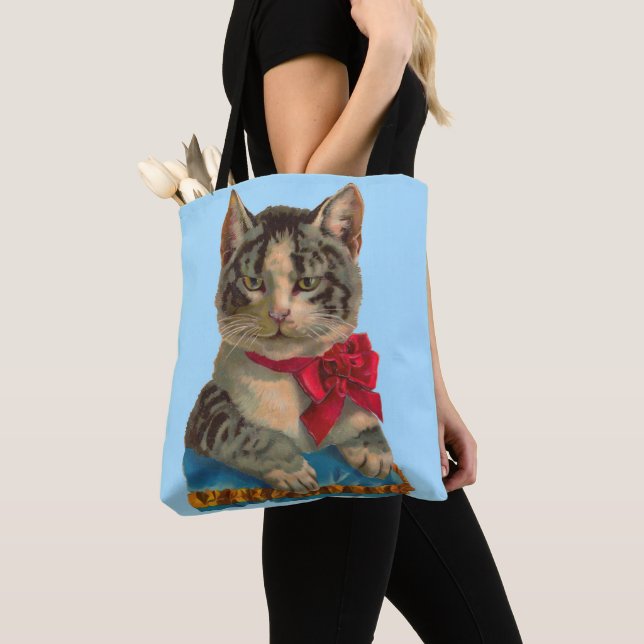 Victorian tabby katt tygkasse (Närbild)