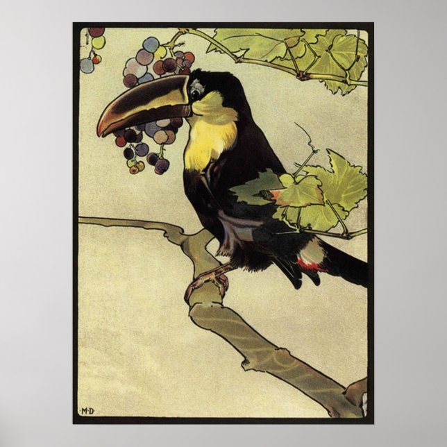 Victorian Toucan Poster (Framsidan)