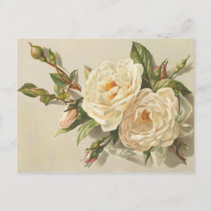 Victorian Vintage Creamy Vit ros Bouquet Vykort