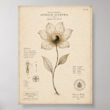 Victoriansk himmelskt botaniskt museeutskrift