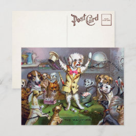 Victoriansk Hund Magiker Postkort Vykort