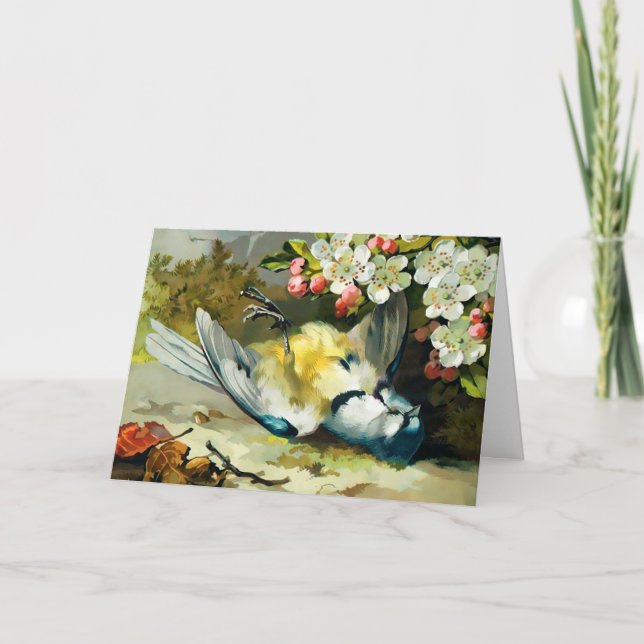 Victoriansk julkort med död fågel helgkort (Framsida)