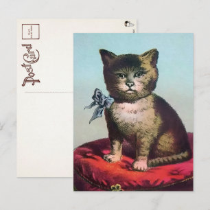 Victoriansk udda katt postkort vykort